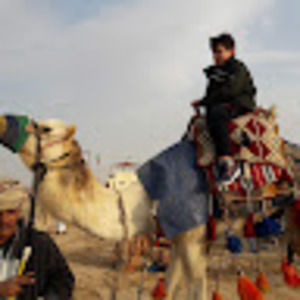 Meet your Posher, Flavia